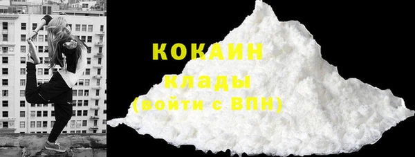шишки Аркадак