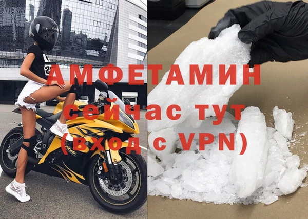 шишки Аркадак