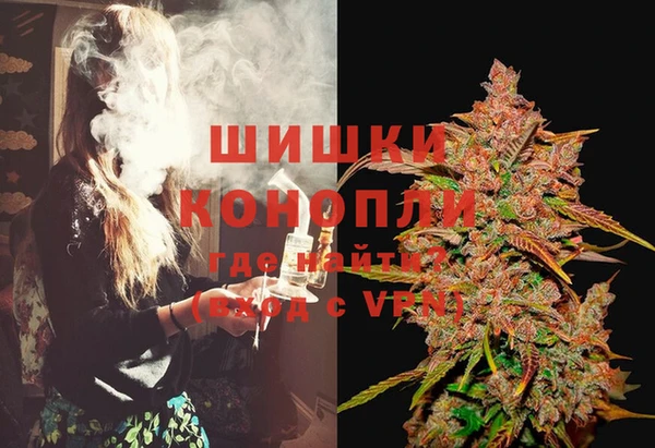шишки Аркадак