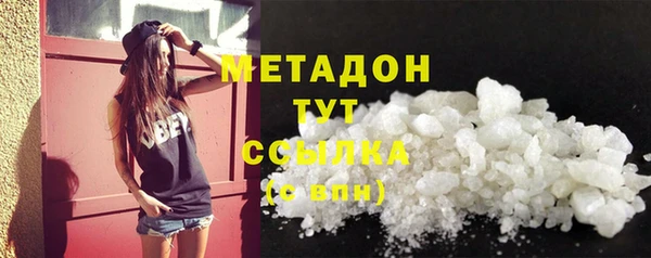шишки Аркадак